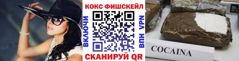Кокаин Fish Scale  Купить закладки  Лермонтов 