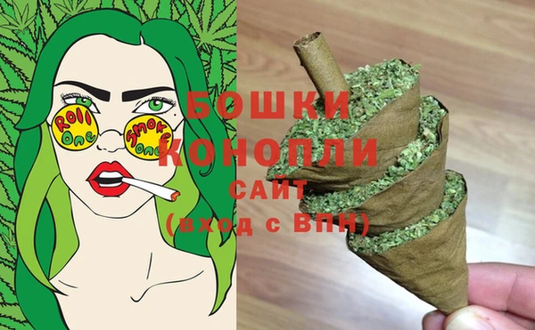 Альфа ПВП Бикин