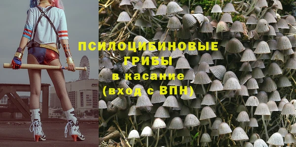 PSILOCYBIN Бабаево